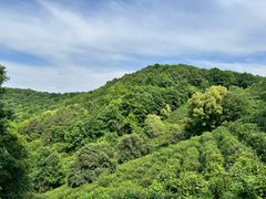-南北湖风景区