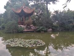 -绵阳人民公园(涪城区)