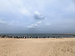 -日照灯塔风景区