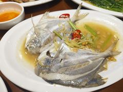 -长平肥姐白粥·海鲜打冷