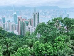 -龙城大药房
