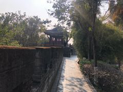 -老桂湖公园-杨升庵博物馆