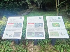 -都江堰中华大熊猫苑