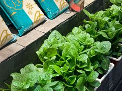 -印巷里主题餐厅(马鞍山店)