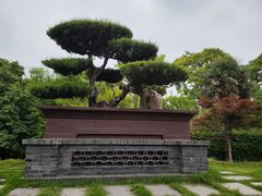 -泰州凤城河风景区-泰山公园