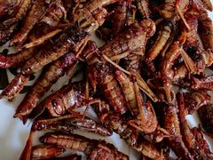 -蒙阴县光棍鸡店(蒙山店)