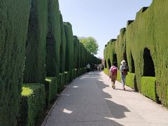 -阿尔罕布拉宫