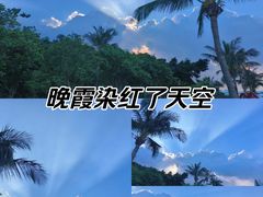 -野狸岛