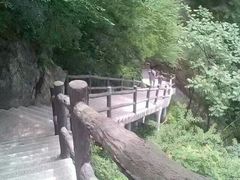 -王顺山国家森林公园