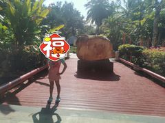 -三亚海棠湾南田温泉神龙谷