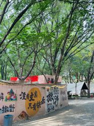 -268童话露营农场·烧烤·团建