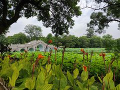 -雀儿山公园