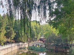 -莲池书院博物馆