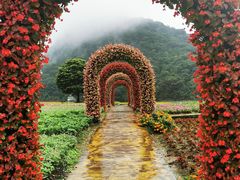 -广州市石门国家森林公园