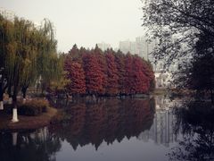 -白塘生态植物园