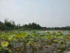 android_upload_pic-云龙湖旅游景区