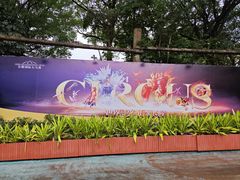 -广州长隆国际大马戏