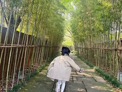 -新荣记(西溪湿地店)