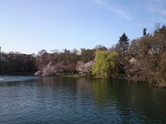 -井之头恩赐公园