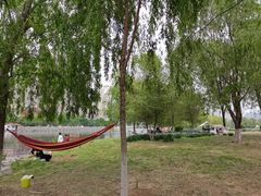 -长白岛森林公园