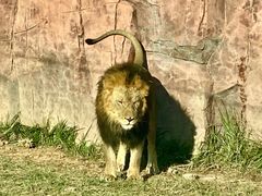 -鄂尔多斯野生动物园