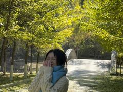 -长白岛森林公园