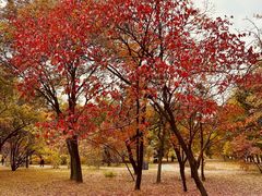 -国家植物园南园