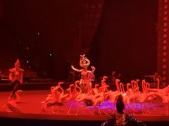 -珠海横琴长隆《卡卡虎奇遇记》