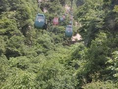 -王顺山国家森林公园