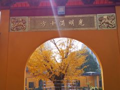 -会龙寺