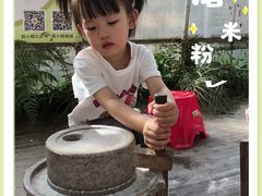 -前小桔亲子创意农场·草莓采摘·露营烧烤