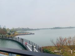 -桐乡凤凰湖