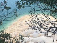 -广州市流溪河国家森林公园
