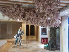 -碧中海汤泉汗蒸酒店