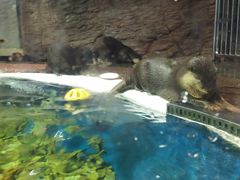 -成都浩海立方海洋公园