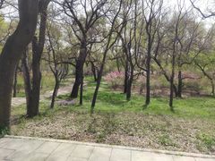 -北陵公园