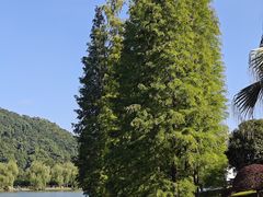 -明月山天沐温泉度假村