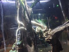 -萌宠奇缘(荣鼎店)