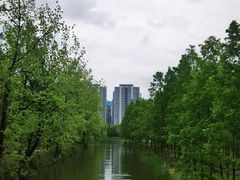 -洋湖国家湿地公园