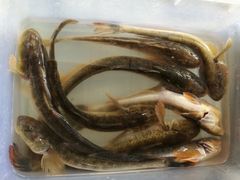 -十二海鲜(南湖店)