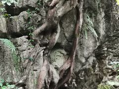 -天河潭旅游度假区