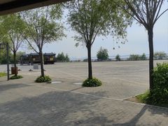 -呼兰河口湿地公园