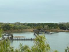 -溱湖国家湿地公园