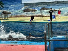 -福州罗源湾海洋世界旅游区