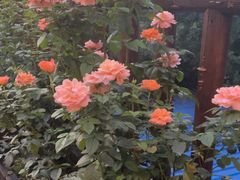 -耕渔小院·湖南鱼鲜(望城店)