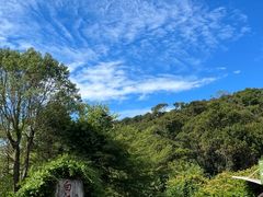 -广州白江湖森林公园