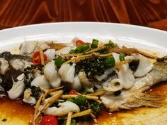 -顺德了能馆(虎门店)