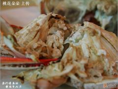 118/斤的野生公蟹打开-海岛渔村大酒店(云霄路店)