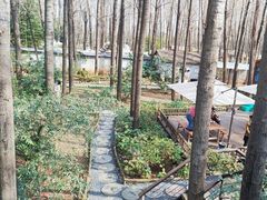 -林间山庄