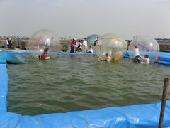 -上海都市菜园
